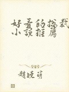 好看的总裁言情小说推荐