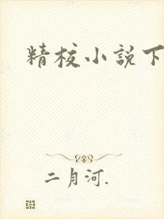 精校小说下载