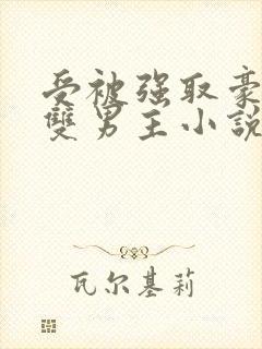 受被强取豪夺的双男主小说