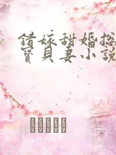错嫁甜婚总裁的宝贝妻小说全文