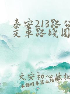 泰安213路公交车路线图时间表