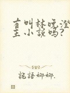 有叫林晚澄的女主小说吗?