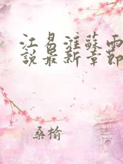 江易淮苏雨眠小说最新章节