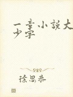 一章小说大概多少字