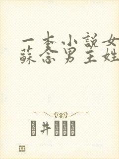 一本小说女主叫苏念男主姓陆