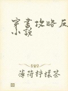 穿书攻略反派的小说