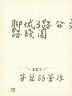 聊城3路公交车路线图
