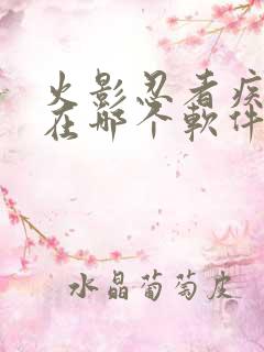 火影忍者疾风传在哪个软件可以看