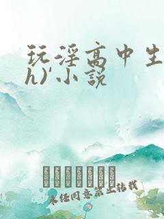 玩淫高中生(高h)'小说