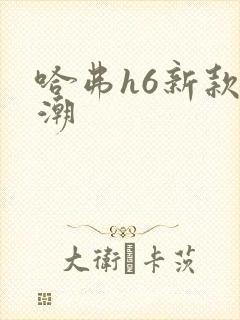 哈弗h6新款国潮