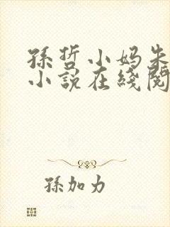孙哲小妈朱颜的小说在线阅读