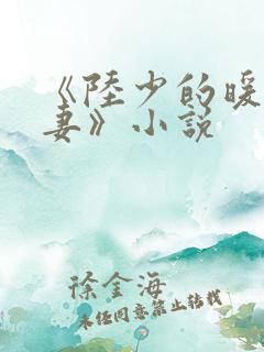 《陆少的暖婚新妻》小说