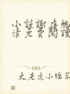 小说谢存旭阮念清免费阅读