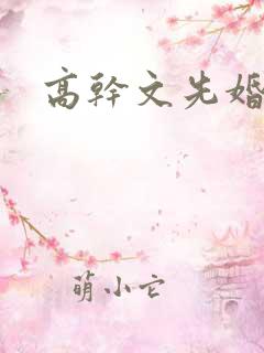高干文先婚后爱