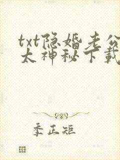 txt隐婚老公太神秘下载