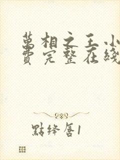 万相之王小说免费完整在线阅读