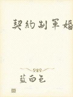 契约制军婚