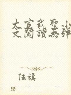 大宣武圣小说全文阅读无弹窗