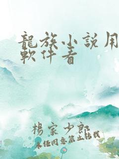 龙族小说用什么软件看