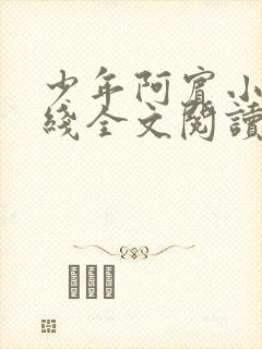 少年阿宾小说在线全文阅读