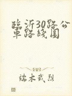 临沂30路公交车路线图