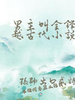 男主叫金锋的穿越古代小说