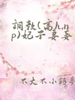 调教(高h,np)妃子妻妾