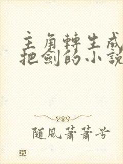 主角转生成为一把剑的小说