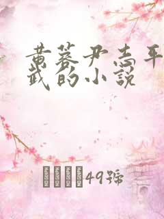 黄蓉尹志平大小武的小说