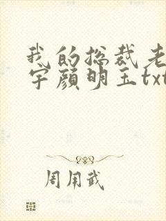我的总裁老婆秦宇颜明玉txt