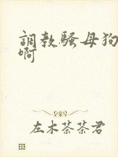 调教骚母狗啊啊啊