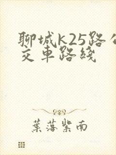 聊城k25路公交车路线