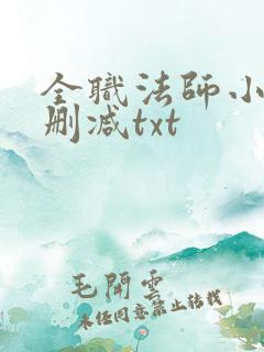 全职法师小说无删减txt