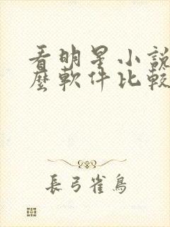 看明星小说用什么软件比较好