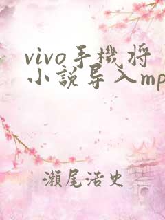 vivo手机将小说导入mp4