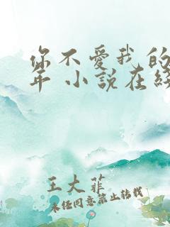你不爱我的那些年 小说在线阅读
