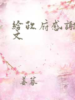给政府感谢信范文