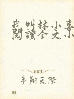 我叫林小喜免费阅读全文小说