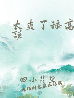 太爽了舔高h小说