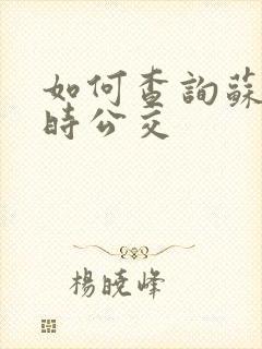 如何查询苏州实时公交