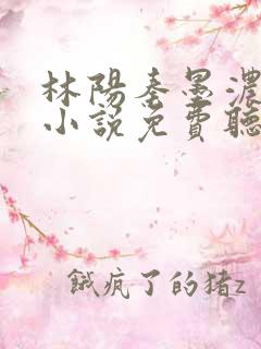 林阳秦墨浓有声小说免费听书