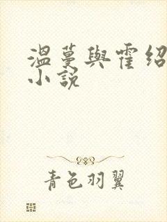温蔓与霍绍霆的小说