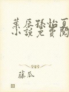 叶辰孙怡夏若雪小说免费阅读全文