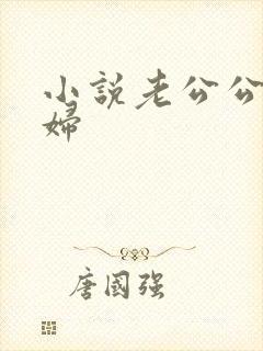 小说老公公儿媳妇
