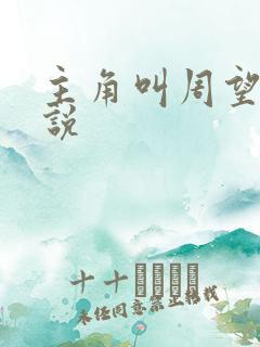 主角叫周望的小说