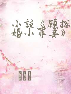 小说《顾总的隐婚小罪妻》
