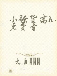 小骚货高h小说免费看