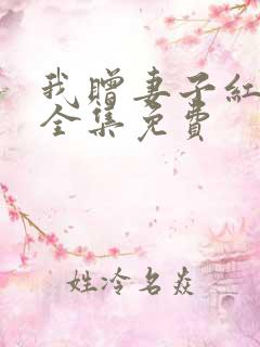 我赠妻子红缨枪全集免费