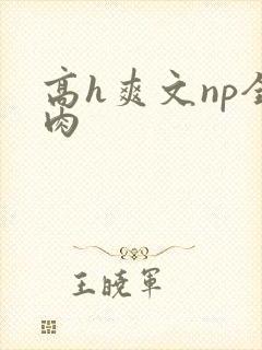 高h爽文np全肉 高h爽文np全肉