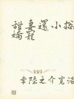 甜妻还小总裁需娇宠
